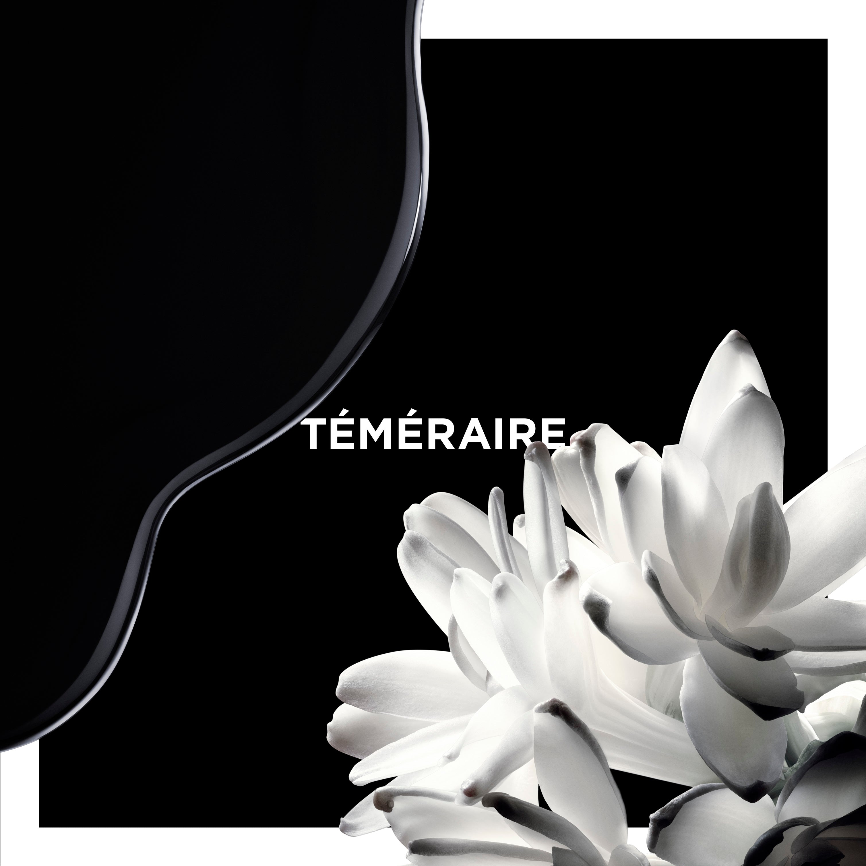 TÉMERAIRE