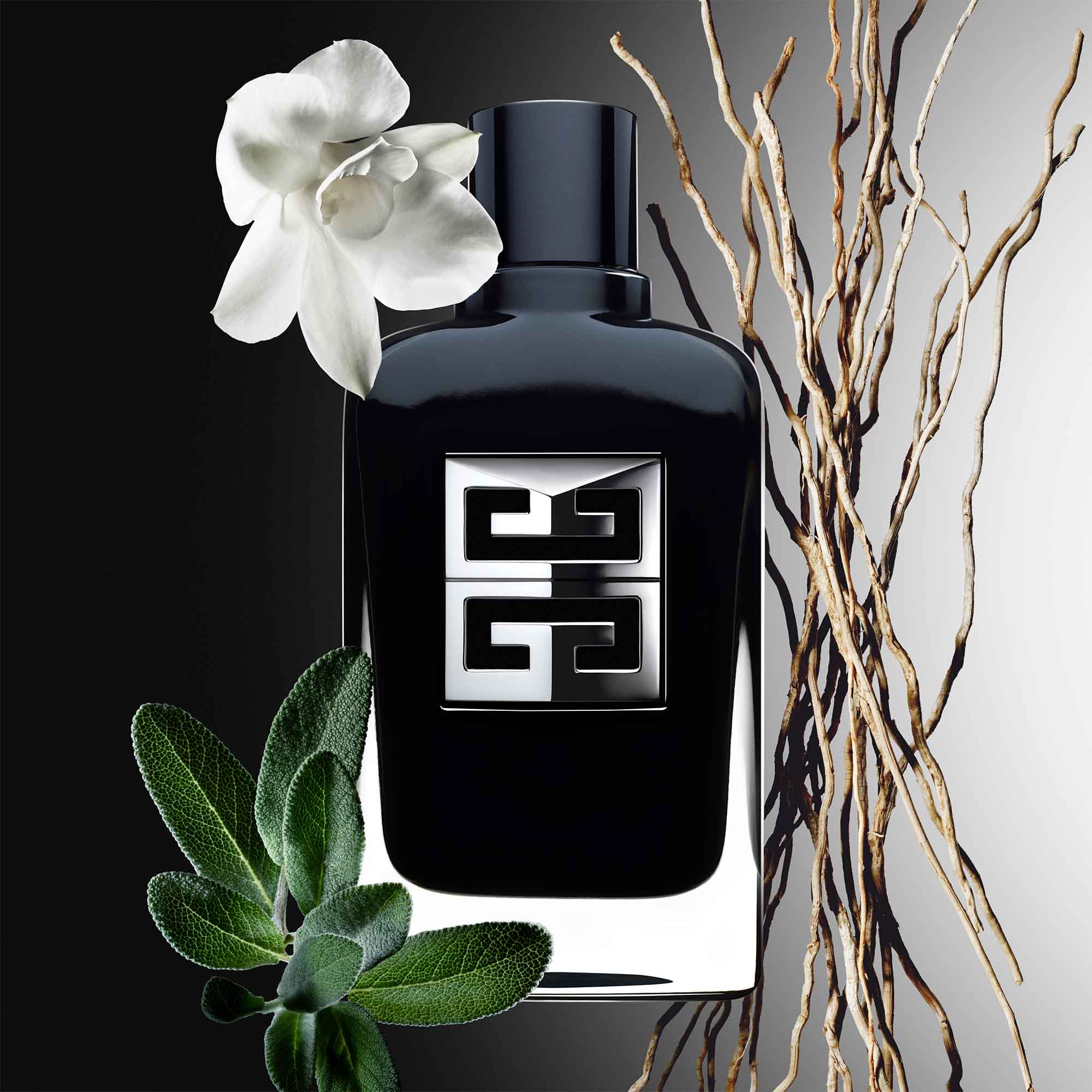 Givenchy Gentleman Society, Eau de Parfum Ambrée 60ml – Pari