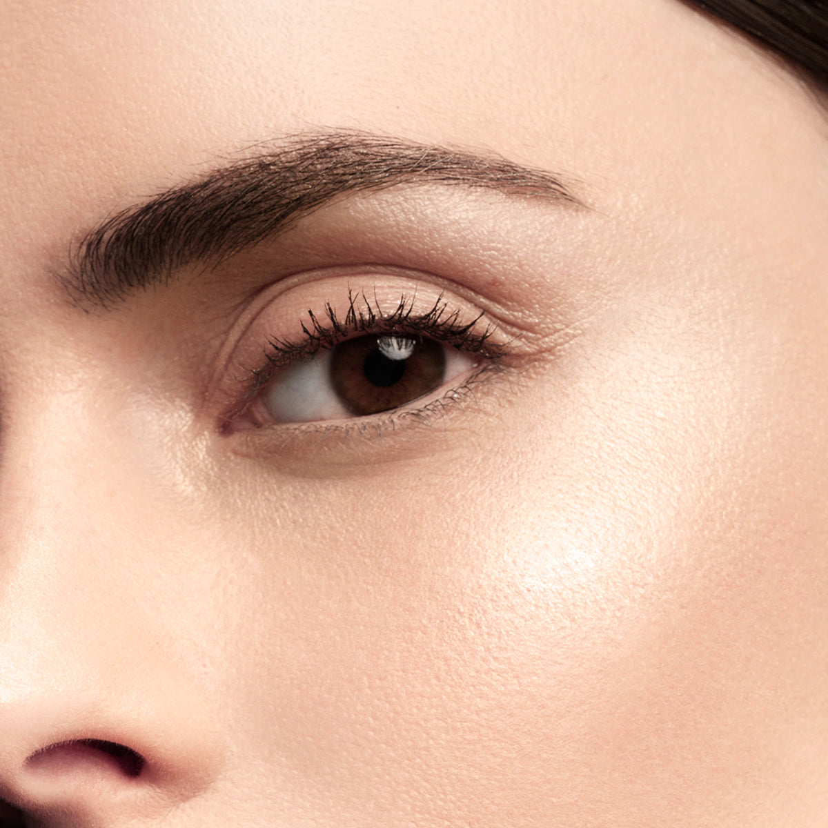 PRISME LIBRE HIGHLIGHTER - LIMITED EDITION