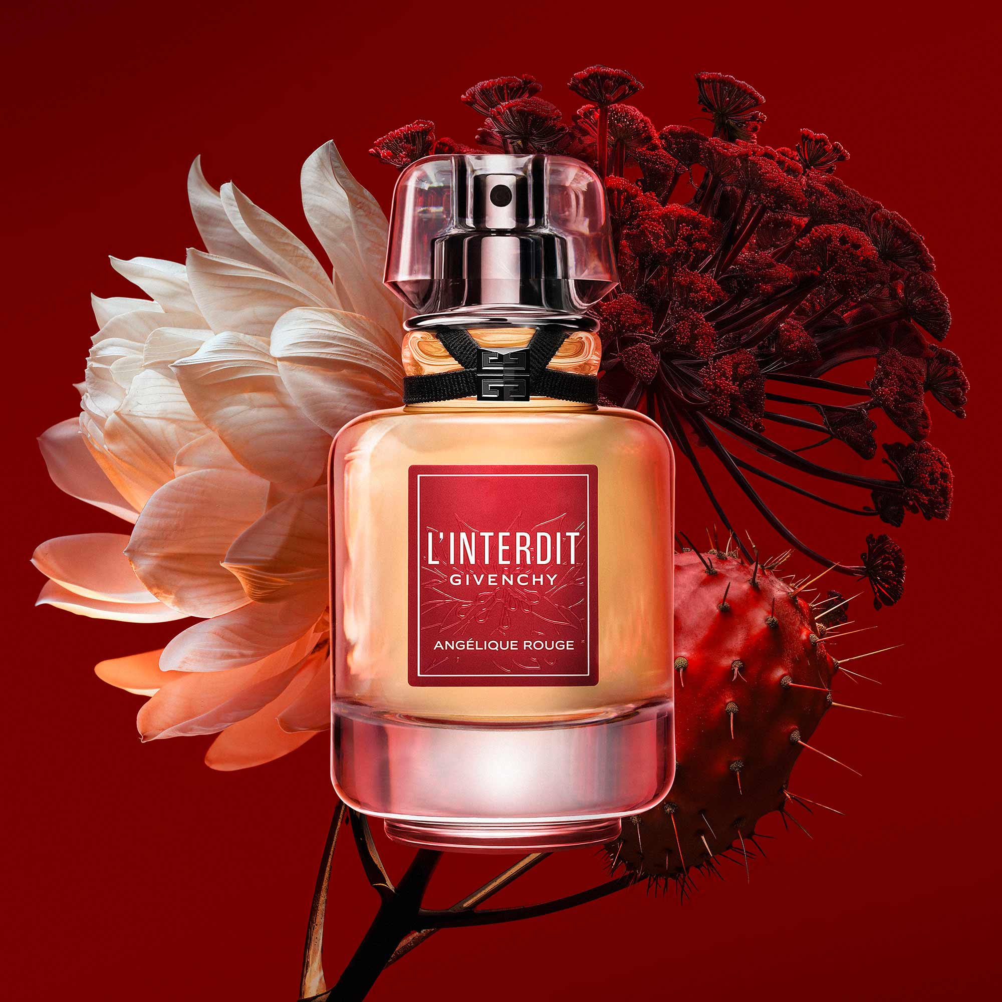 L'INTERDIT ANGÉLIQUE ROUGE