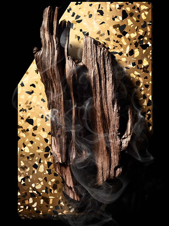 LA COLLECTION PARTICULI RE